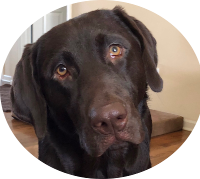 Image without description